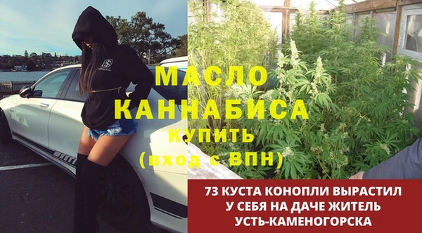 прущие грибы Бугульма