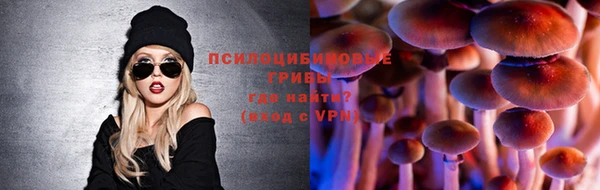 прущие грибы Бугульма