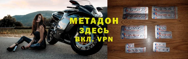 прущие грибы Бугульма