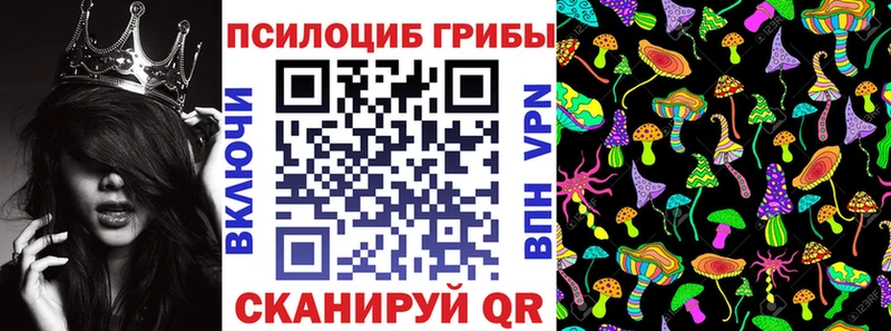 Псилоцибиновые грибы мицелий  Купить где  Шагонар 